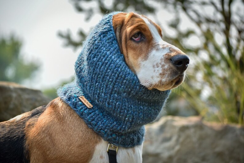 Basset Hound Snood Knit Dog Snood Snood for dogs Dog lover Etsy