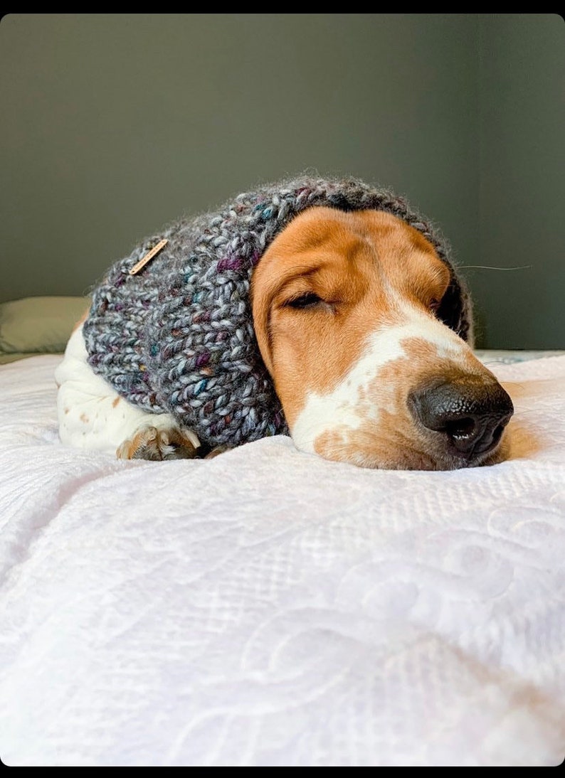 Basset Hound Snood Knit Dog Snood Snood for Dogs Dog Lover Etsy