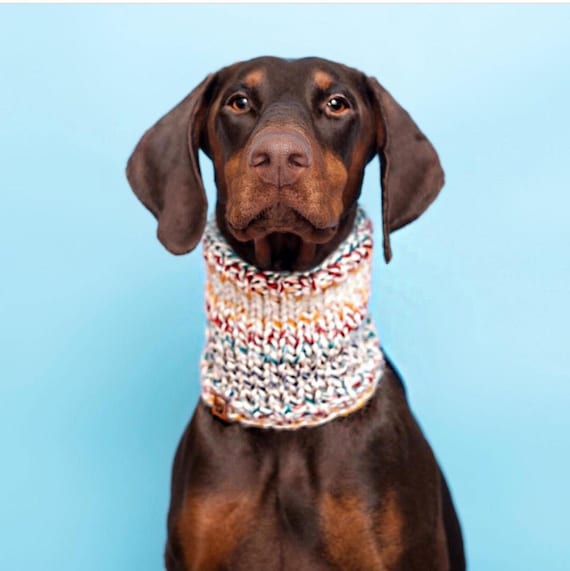 Dog Snood Knit Dog Snood Snood for dogs Dog lover gift dog Etsy
