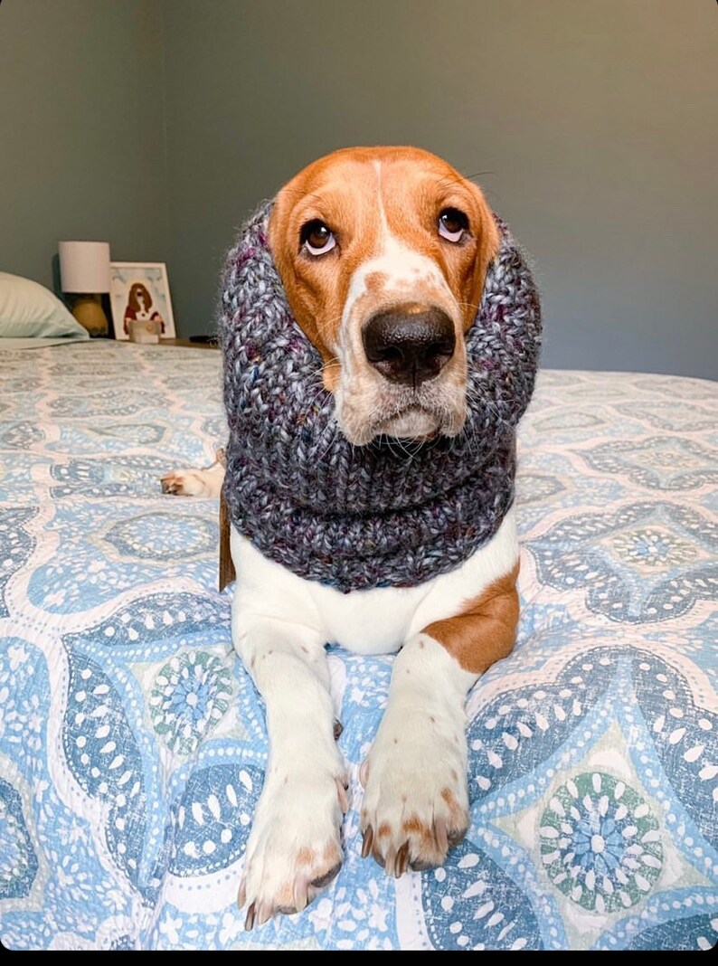 Basset Hound Snood Tejer perro Snood Snood para perros Etsy