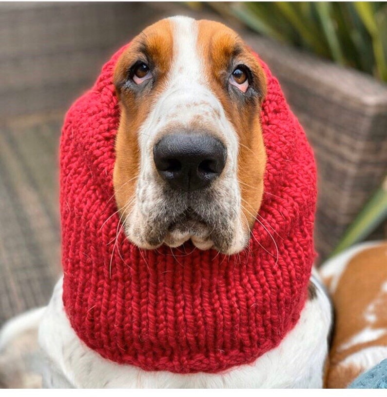 Basset Hound Snood Knit Dog Snood Snood for Dogs Dog Lover Etsy