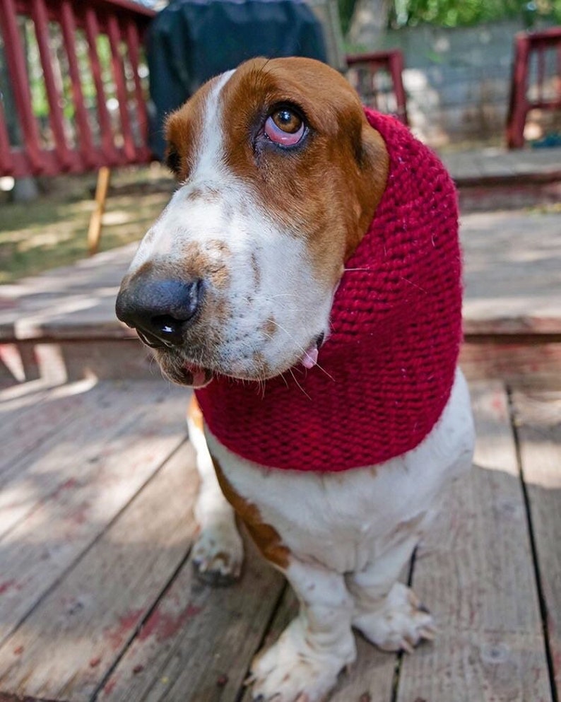 Basset Hound Snood Knit Dog Snood Snood for Dogs Dog Lover Etsy UK