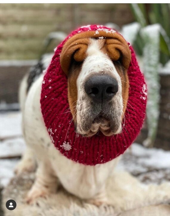 Basset Hound Snood Knit Dog Snood Snood for Dogs Dog Lover Etsy