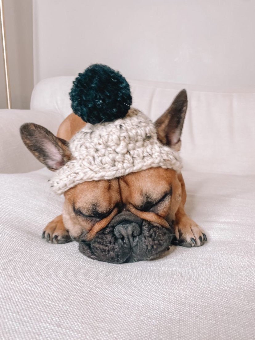 Bonnet de Chien avec Pom/Chapeau Crocheté Cadeau Chien