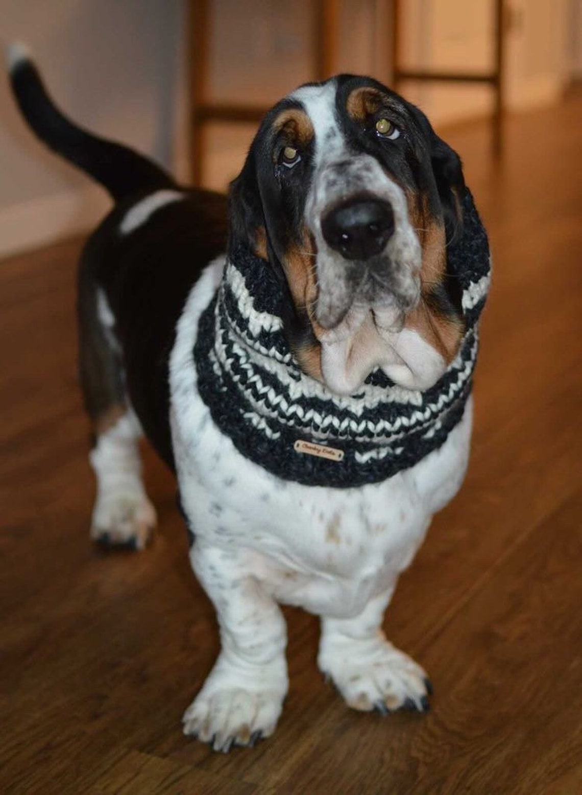 Basset Hound Snood Knit Dog Snood Snood for Dogs Dog Lover Etsy