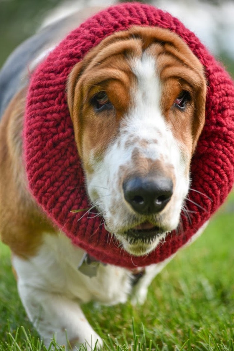 Basset Hound Snood Knit Dog Snood Snood for Dogs Dog Lover Etsy
