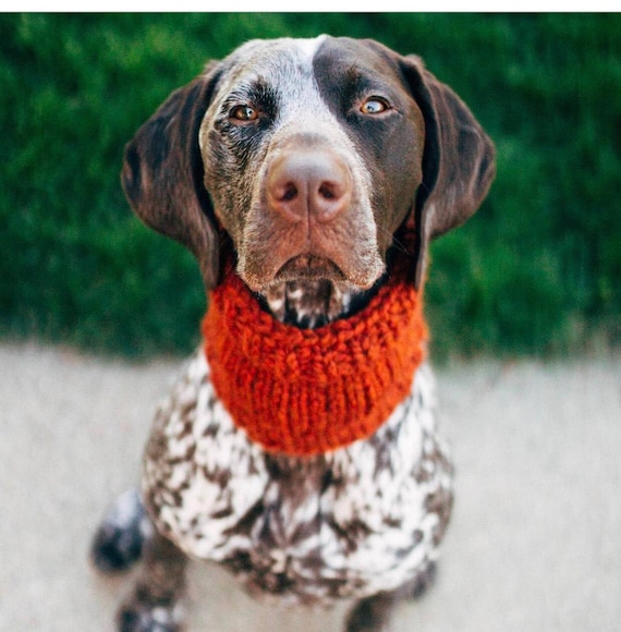 Hund zu tun Snood stricken Hund Snood Schlauchschal für Etsy