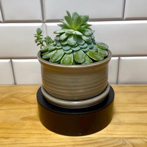 May include: A light green succulent plant in a beige ceramic pot with a matching saucer. The pot has horizontal ridges and sits on a black base, with a wooden surface in the foreground. The background features white tiles.