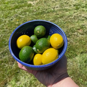 May include: A blue ceramic bowl filled with a mix of green limes and yellow lemons. The bowl is being held in a hand, with a grassy background.