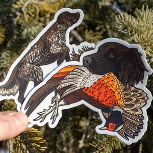 Small Münsterländer Hunting Dog Sticker – On Point & Pheasant Retrieve | Premium Vinyl Decal