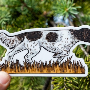 Puede incluir: Una pegatina con un perro corriendo, un Braco Alemán, con cuerpo blanco y manchas marrones. El perro está representado en un campo de hierba alta, con un borde blanco.