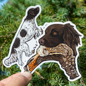 Small Münsterländer On Point & Ruffed Grouse Retrieve Sticker – Premium Upland Hunting Dog Vinyl Decal