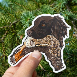 Small Münsterländer with Ruffed Grouse Sticker – Premium Upland Bird Dog Vinyl Decal