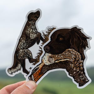 Small Münsterländer On Point & Ruffed Grouse Retrieve Sticker – Premium Upland Hunting Dog Vinyl Decal