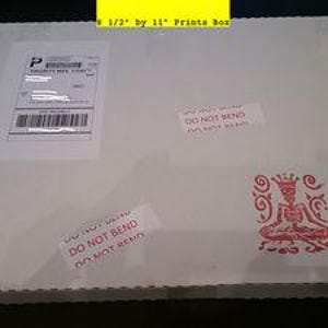 Puede incluir: Una caja de cart&oacute;n blanca con el texto "NO DOBLAR" impreso en ella. La caja mide 21,5 cm por 28 cm y est&aacute; etiquetada como "Caja de Impresiones".