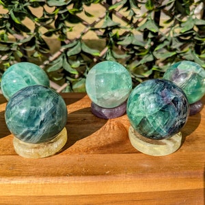 May include: Six fluorite crystal spheres in shades of green, blue, and purple, displayed on a wooden tray. Each sphere rests on a small, round stand, with colors ranging from yellow to purple. The background features green foliage.