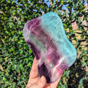 May include: A multi-colored fluorite crystal in shades of purple, teal, and clear. The polished stone is held in a hand, with a blurred green leafy background. The crystal has a smooth, rounded shape.