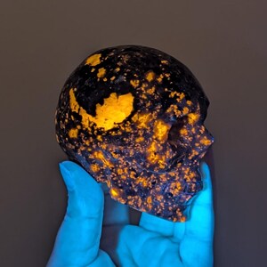 May include: A carved skull made of a dark, speckled stone with bright orange and yellow inclusions. The skull is held by a hand wearing a blue glove. The skull's features are clearly defined, showcasing the intricate details of the carving.