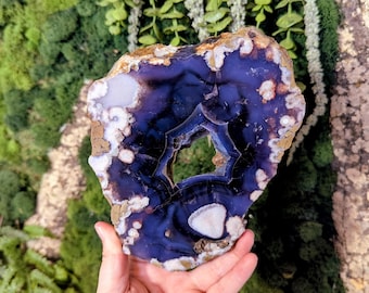 May include: A polished agate geode slice with a deep blue centre, white and brown banding, and a central cavity. The outer edge is light brown. The geode is held in a hand against a green and brown background.