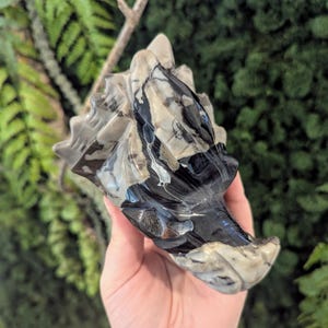Volcano Agate Dragon Head Carving | Strength, Transformation & Ancient Energy