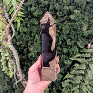 May include: A polished stone obelisk with a pointed top. The stone features a mix of black, tan, and brown colors. The obelisk is held in a hand against a backdrop of green foliage.