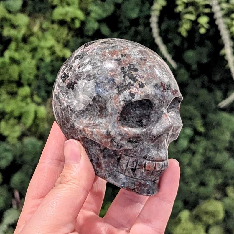 May include: A carved skull made of speckled stone, featuring shades of gray, brown, and black. The skull has detailed facial features, including eye sockets, a nose cavity, and teeth. The stone has a polished, smooth surface.