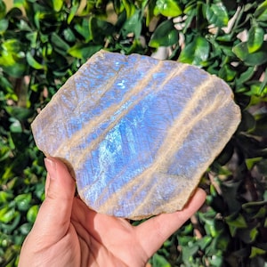 Stunning Blue Flash Moonstone Slabs | Stone of Intuition & Emotional Healing