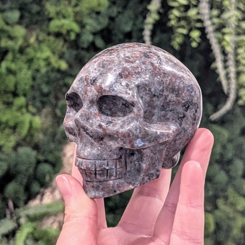 May include: A carved stone skull with a speckled pattern of gray, brown, and black. The skull has detailed features, including eye sockets, a nose cavity, and a full set of teeth. The skull is held in a hand against a blurred green background.
