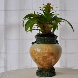 May include: A potted bromeliad plant in a decorative ceramic vase. The vase has a light tan background with a painted scene and a dark green rim and base. The plant has green leaves and a reddish-brown flower.