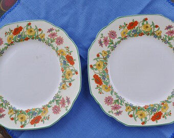 Set of Two Antique Grindley Staffordshire Ironstone Plates w Bright Red  and Yellow Poppies