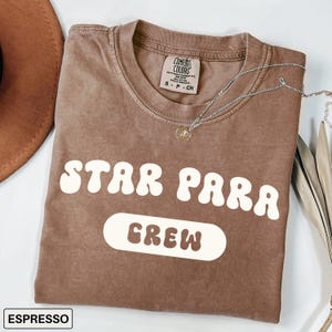 Teacher Assistant Shirts, Comfort Colors, PARA Shirts, Back to School Shirts, Teacher Aide Shirts, Paraprofessional Shirts, PARA Team Shirts