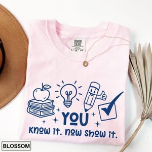 Testing Day Teacher Shirt Comfort Colors Test Day Shirt, Retro Motivational Teacher Tee, State Testing Shirt, School Test Teacher Team Shirt