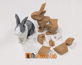 3D Printed Rabbit Puzzle: Magnetic Low Poly Fidget Toy