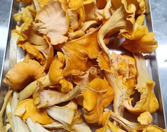 Freeze Dried Wild Chanterelle Mushrooms foraged in Arkansas