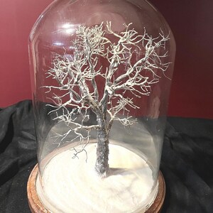 May include: A wire sculpture of a tree with a white, snowy base, encased in a glass dome on a wooden base.