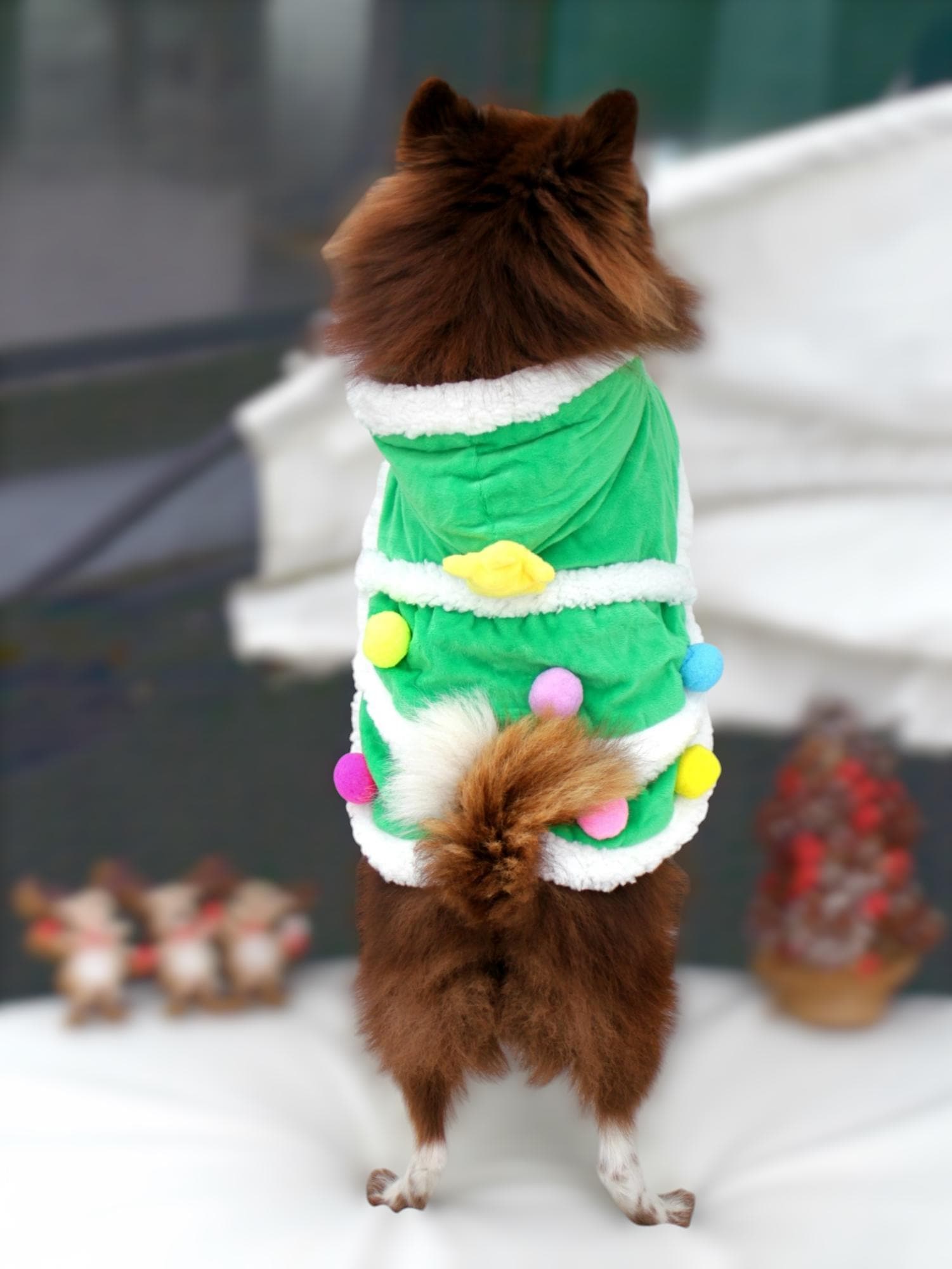 Christmas Tree Ropa Para Perros Primark Christmas Tree Trajes De