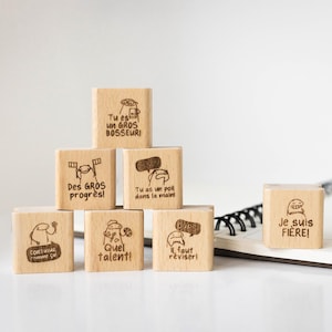 Set di timbri per insegnanti Un francese, timbro motivazionale, set di timbri scolastici, timbro ricompensa, timbro della scuola elementare, valutazione ben fatto HS031