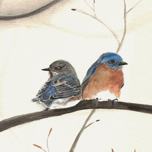 Bluebird Pair Watercolor Textured Matte Posters, Bluebirds, Wall Decor, Bird Enthusiast, Bird Watcher Gift, Bluebird Painting, Mother's Day