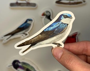 Tree Swallow Bird Sticker | Dishwasher Safe Art Decal | Water Bottle, Laptop, Tablet, Scrapbook
