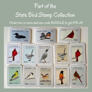 May include: A collection of rectangular stamps featuring state birds, each with a 25&cent; value. The stamps showcase various birds like the Northern Cardinal, Eastern Bluebird, and Goldfinch. Text includes "State Bird Stamp Collection".