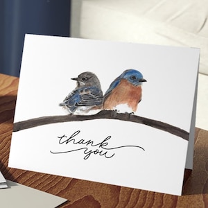 Eastern Bluebird Pair Watercolor Art Print Thank You Cards, Blank Inside, Bird Illustration, Bird Lover Gift, Bluebirds (8, 16, and 24 pcs)