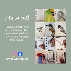 May include: A grid of watercolor bird paintings and sketches, including a parrot, owl, hummingbird, and others. The text "Let's connect!" and "Follow along for new artwork...from nature!" is displayed, along with social media icons and the handle @WillowPaletteArt.