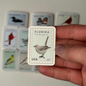 May include: A collection of vintage-style postage stamps featuring various bird illustrations. The central stamp showcases a Florida Mockingbird, with the text "FLORIDA Mockingbird" and "USA 25¢". Other stamps depict different birds.
