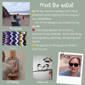 May include: An artistic collage featuring photography, quilting, oil painting, and watercolor art. The text "Meet the artist" is at the top, with the artist's name and a description of her work. The word "HELLO!" is in a speech bubble.