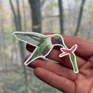May include: A die-cut sticker featuring a detailed illustration of a hummingbird with green and grey feathers and a bright red throat patch, hovering while reaching its beak toward a small, slender green stem with a red flower blossom.