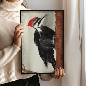 Pileated Woodpecker Watercolor Art Print | Bird Lover Wall Decor