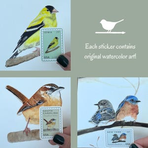 May include: Watercolor bird art stickers featuring a yellow Goldfinch, Carolina Wren, and Eastern Bluebirds. Each sticker includes a state name and a 25&cent; stamp design. Text: "Each sticker contains original watercolor art!"