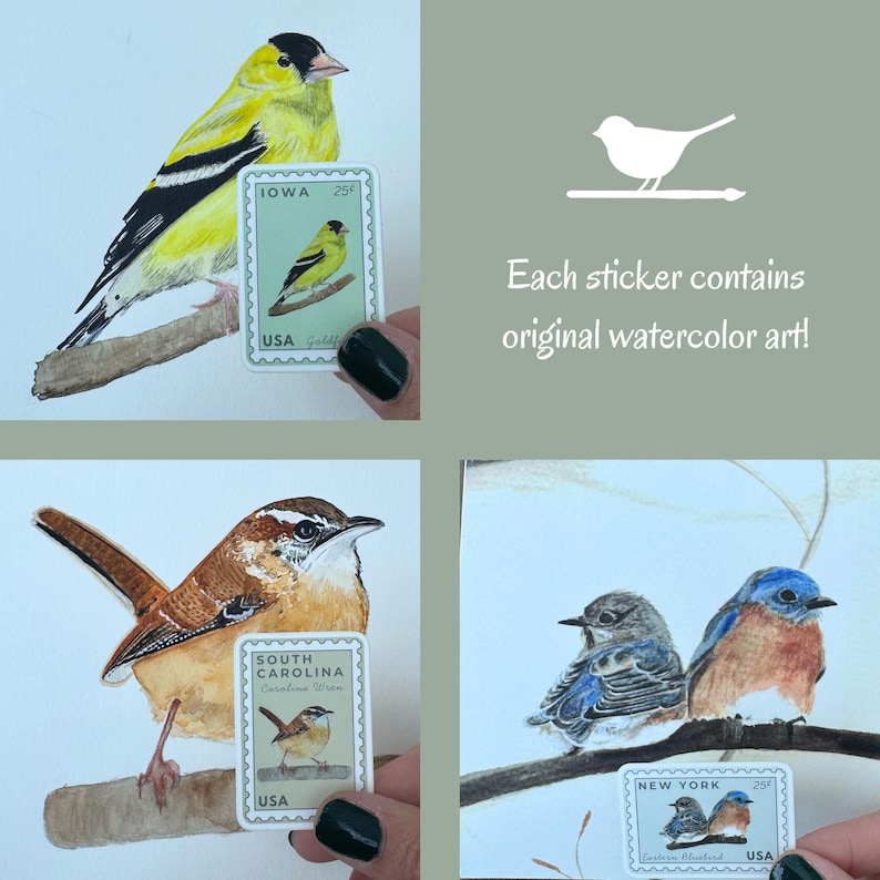 May include: Watercolor bird art stickers featuring a yellow Goldfinch, Carolina Wren, and Eastern Bluebirds. Each sticker includes a state name and a 25&cent; stamp design. Text: "Each sticker contains original watercolor art!"