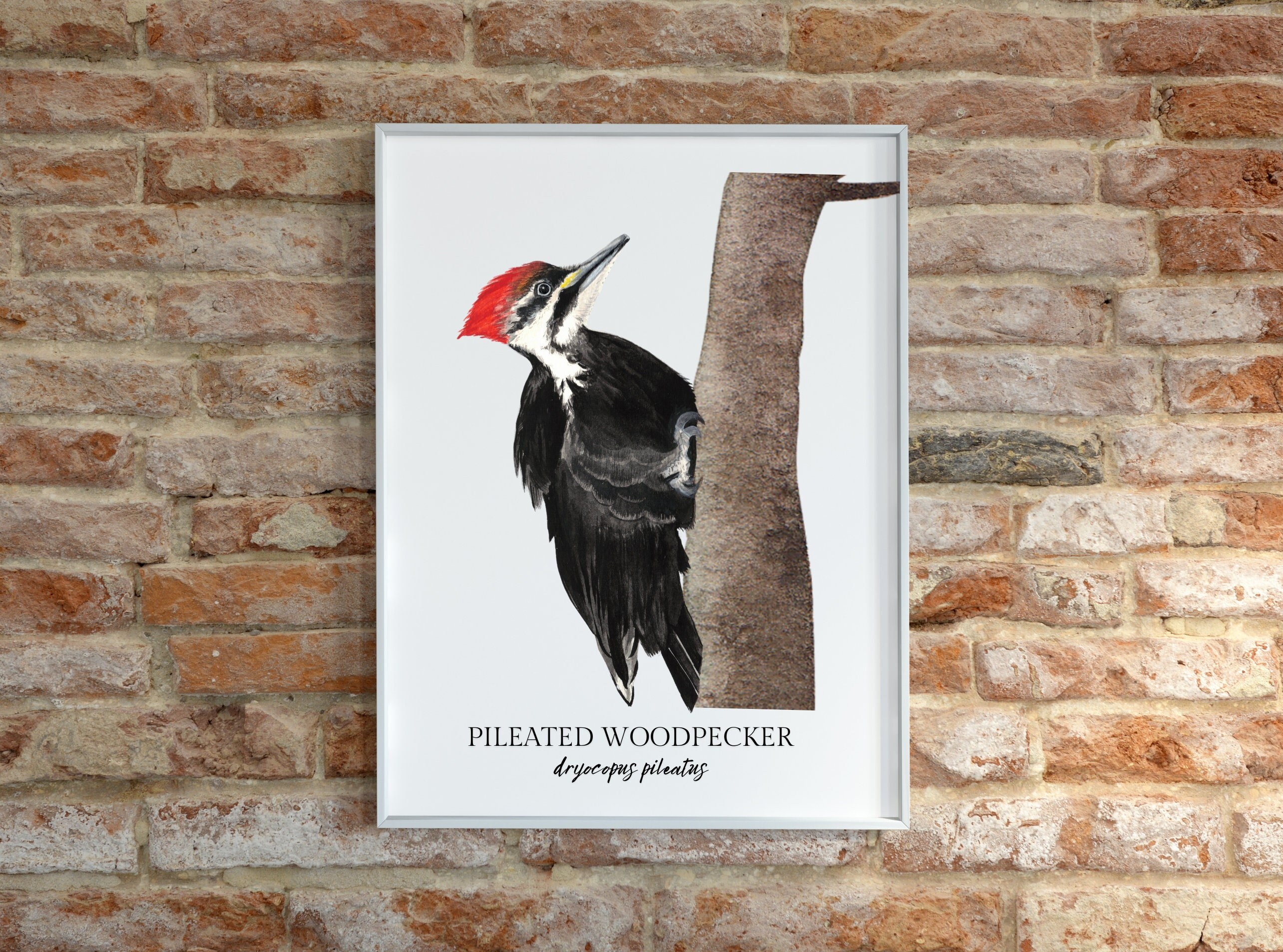 Pileated Woodpecker Watercolor Print Backyard Birds Art Collection 8x10