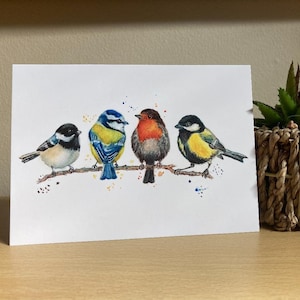 Carte de voeux oiseaux de jardin, impression d'art aquarelle Robin, carte mésange bleue pour les amateurs d'oiseaux, oiseau coloré, cartes d'anniversaire illustrées